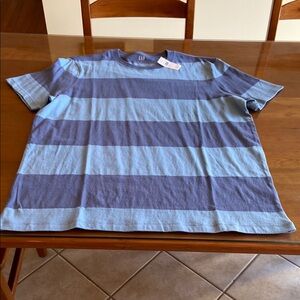GAP Men's Dual Blue Striped Tee